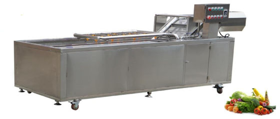 équipement de lavage végétal de chaîne de filet de transmission de machines de traitement des denrées alimentaires des produits alimentaires 1500Kg/h