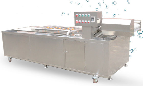 équipement de lavage végétal de chaîne de filet de transmission de machines de traitement des denrées alimentaires des produits alimentaires 1500Kg/h