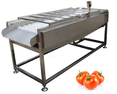 matériel d'usine de traitement des denrées alimentaires des produits alimentaires 500kg/h, joint végétal de brosse de fruit
