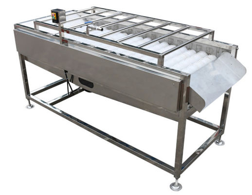 matériel d'usine de traitement des denrées alimentaires des produits alimentaires 500kg/h, joint végétal de brosse de fruit