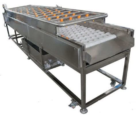 Machines de traitement des denrées alimentaires des produits alimentaires 3.35KW, machine de nettoyage de jet 1000kg/h