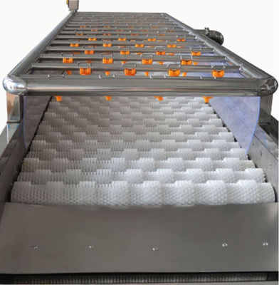 Machines de traitement des denrées alimentaires des produits alimentaires 3.35KW, machine de nettoyage de jet 1000kg/h