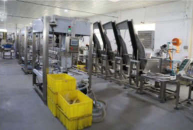 Machine de capsulage du remplissage de bouteilles 20KW, machine automatique d'emballage en papier rétrécissable 1.2T