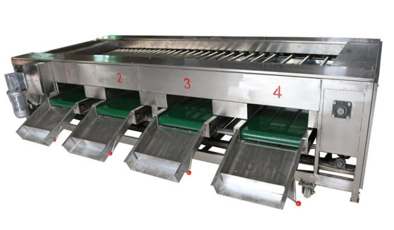 machines de traitement des denrées alimentaires des produits alimentaires 2000kg/h, fruit végétal assortissant l'équipement