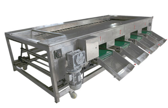 machines de traitement des denrées alimentaires des produits alimentaires 2000kg/h, fruit végétal assortissant l'équipement