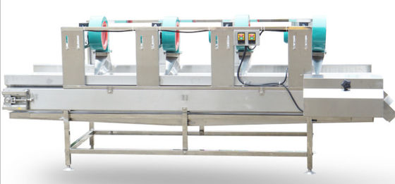 Machine sèche 500kg/h de nourriture d'air de trompette pour la viande de légume fruit